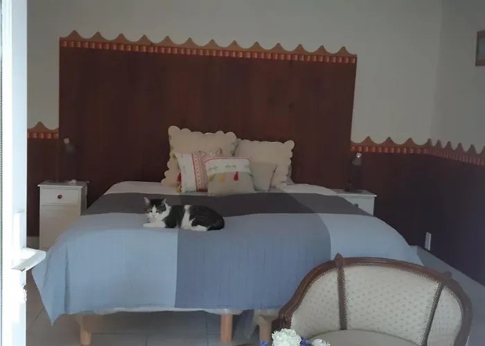 Le Jardin De Lumiere Fleuri 住宿加早餐酒店 Pontchâteau